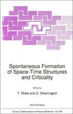 Spontaneous Formation of Space-Time Structures and Criticality