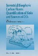 Terrestrial Biospheric Carbon Fluxes
