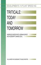 Triticale