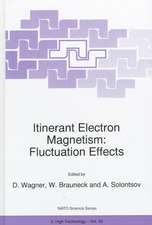 Itinerant Electron Magnetism: Fluctuation Effects