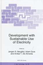 Development with Sustainable Use of Electricity