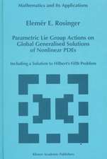 Parametric Lie Group Actions on Global Generalised Solutions of Nonlinear PDEs: Including a Solution to Hilbert’s Fifth Problem