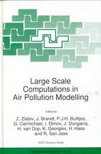 Large Scale Computations in Air Pollution Modelling