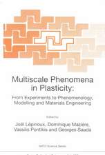 Multiscale Phenomena in Plasticity: From Experiments to Phenomenology, Modelling and Materials Engineering