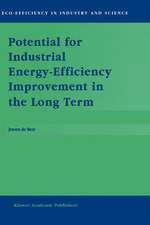 Potential for Industrial Energy-Efficiency Improvement in the Long Term