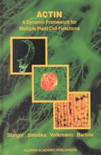 Actin: A Dynamic Framework for Multiple Plant Cell Functions