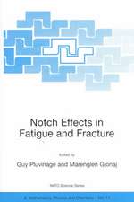 Notch Effects in Fatigue and Fracture