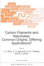 Carbon Filaments and Nanotubes: Common Origins, Differing Applications?