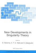 New Developments in Singularity Theory