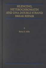 Silencing, Heterochromatin and DNA Double Strand Break Repair