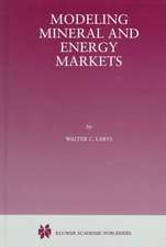 Modeling Mineral and Energy Markets