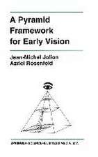 A Pyramid Framework for Early Vision