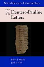 Social-Science Commentary on the Deutero-Pauline Letters