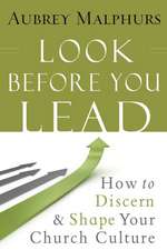 Look Before You Lead – How to Discern and Shape Your Church Culture