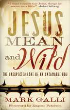 Jesus Mean and Wild – The Unexpected Love of an Untamable God