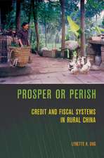 Prosper or Perish – Credit and Fiscal Systems in Rural China