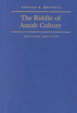 The Riddle of Amish Culture 2e