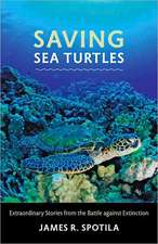 Saving Sea Turtles – Extraordinary Stories from the Battle against Extinction