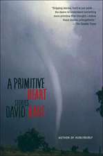 A Primitive Heart: Stories