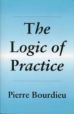 Logic of Practice