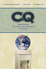 CQ: Developing Cultural Intelligence at Work