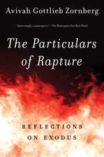 The Particulars of Rapture