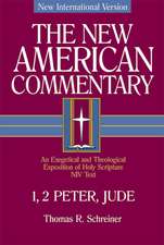 1, 2 Peter, Jude: An Exegetical and Theological Exposition of Holy Scripture