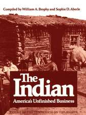 The Indian: America's Unfinished Business