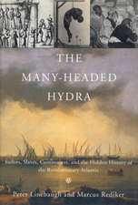 The Many-Headed Hydra: Sailors, Slaves, Commoners, and the Hidden History of the Revolutionary Atlantic