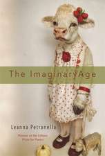 The Imaginary Age