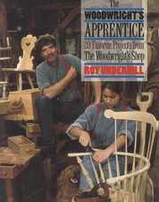 The Woodwright's Apprentice: Twenty Favorite Projects from the Woodwright's Shop