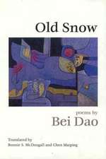 Old Snow