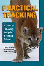 Practical Tracking