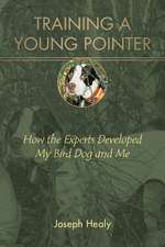 TRAINING A YOUNG POINTER HOW