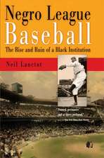 Negro League Baseball – The Rise and Ruin of a Black Institution