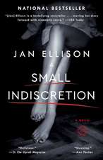 A Small Indiscretion