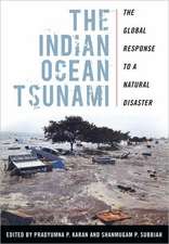 The Indian Ocean Tsunami