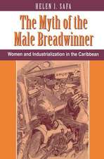 The Myth Of The Male Breadwinner