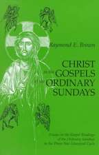 Christ in the Gospels of the Ordinary Sundays: Essays on the Gospel Readings of the Ordinary Sundays in the Three-Year Liturgical Cycle