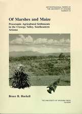 Of Marshes and Maize: Preceramic Agricultural Settlement in the Cienega Valley, Southeastern Arizona