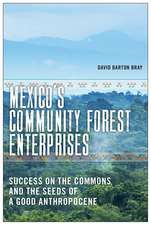 Mexico’s Community Forest Enterprises: Success on the Commons and the Seeds of a Good Anthropocene