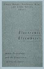 Electronic Elsewheres: Media, Technology, and the Experience of Social Space