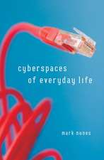 Cyberspaces Of Everyday Life