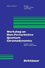 Workshop on Non-Perturbative Quantum Chromodynamics