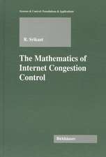 The Mathematics of Internet Congestion Control