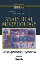 Analytical Morphology