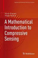 A Mathematical Introduction to Compressive Sensing