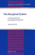 The Perceptual System