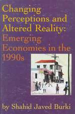 Changing Perceptions and Altered Reality: Emerging Economies in the 1990s