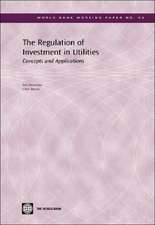 The Regulation of Investment in Utilities: Concepts and Applications